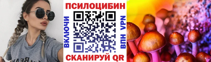 Галлюциногенные грибы мухоморы  где найти наркотики  Выкса 